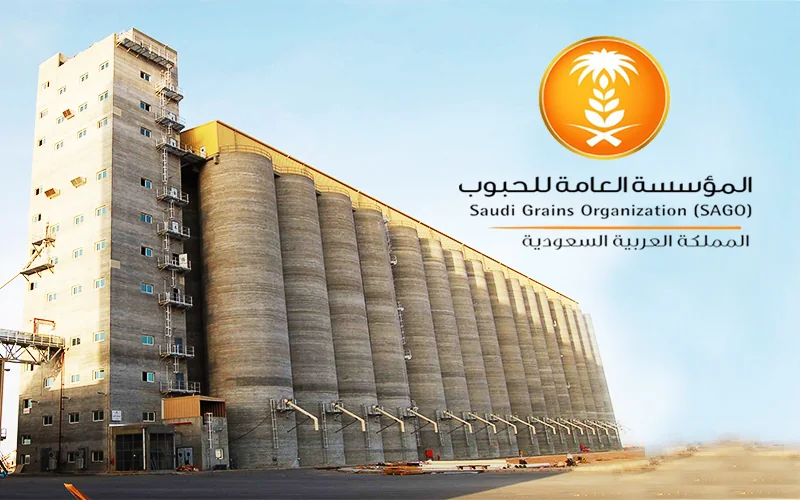مشروع قطاع مؤسسي